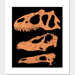 Allosaurus Diplodocus Stegosaurus fossil skulls Posters and Art